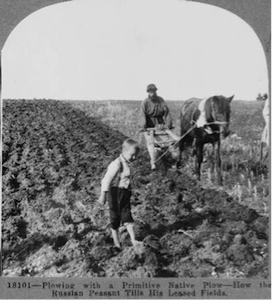 Peasant Farming